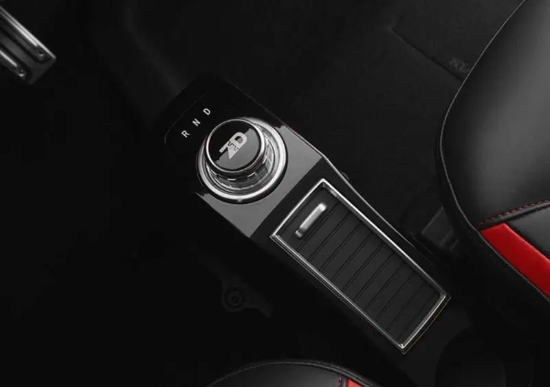 ZD ITALIA ZD D2s Bee (20)