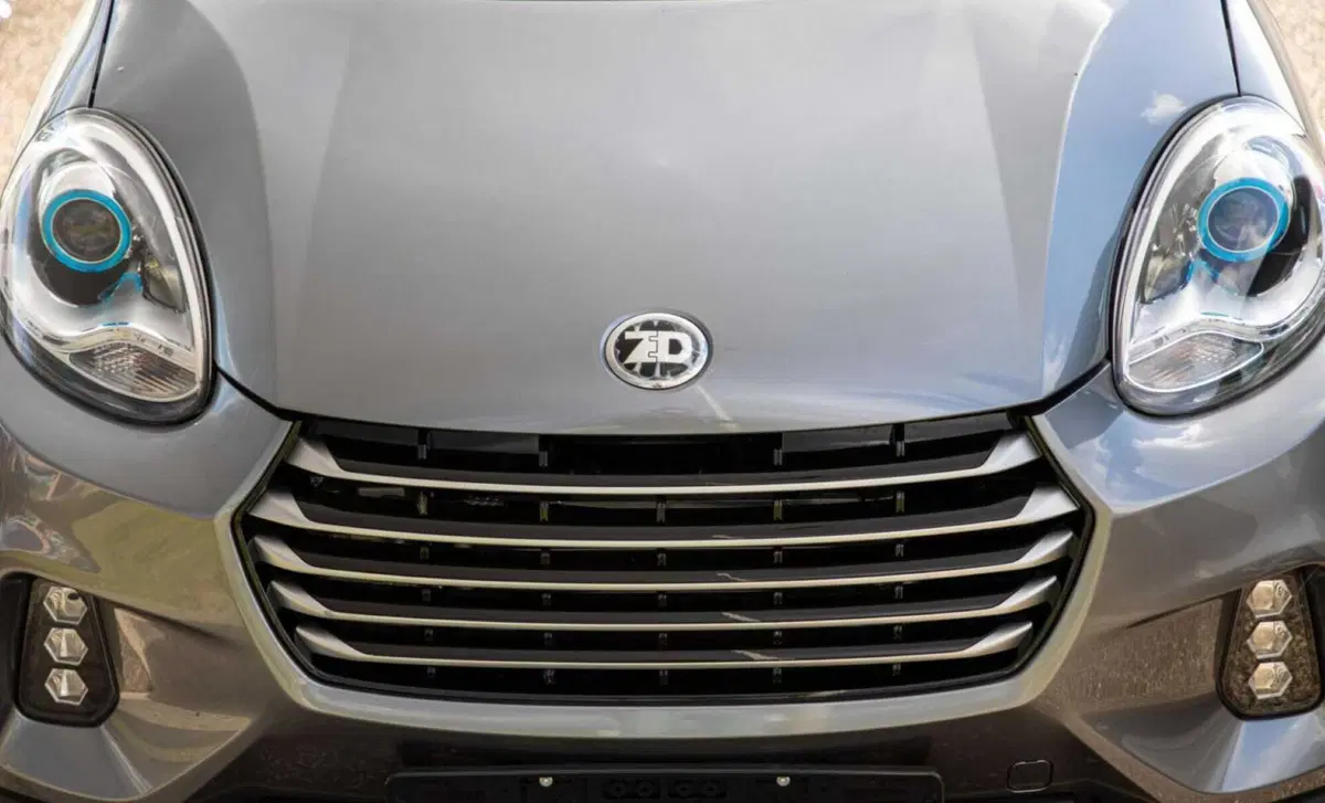 ZD ITALIA ZD D2s Owls (16)