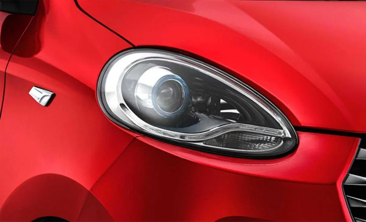 ZD ITALIA ZD D2s Owls (17)