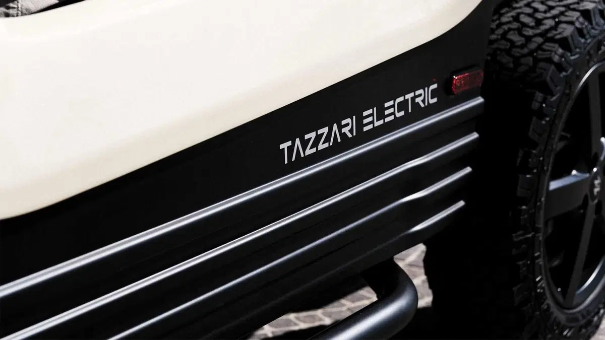 TAZZARI Zero 4 Buggy (7)