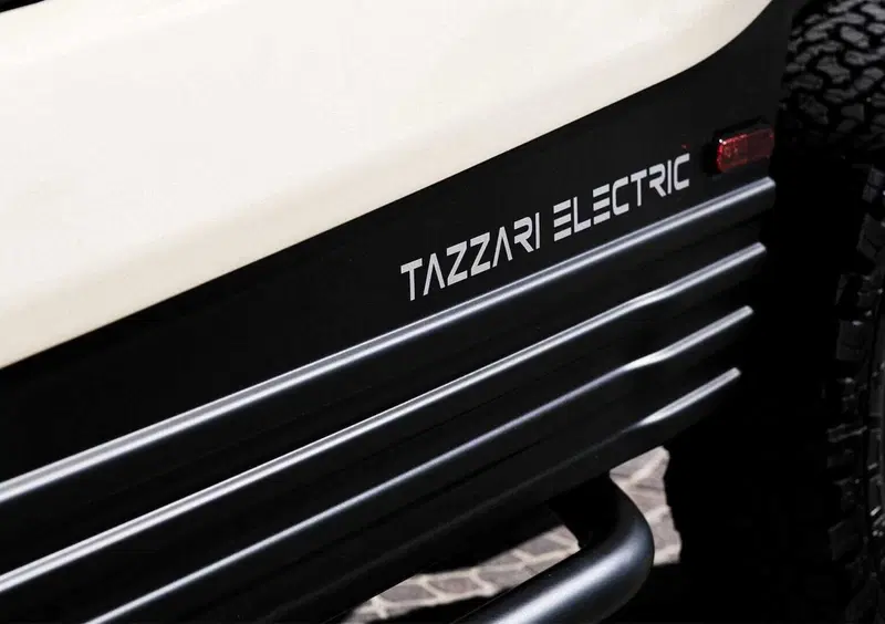 TAZZARI Zero 4 Buggy (7)
