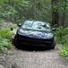 Perso nel bosco con la Porsche Panamera su un sentiero largo un metro: il video del salvataggio