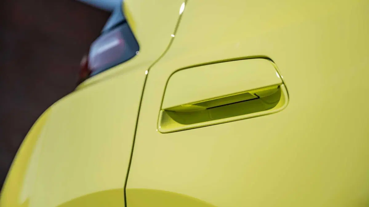 Byd Dolphin Surf (23)