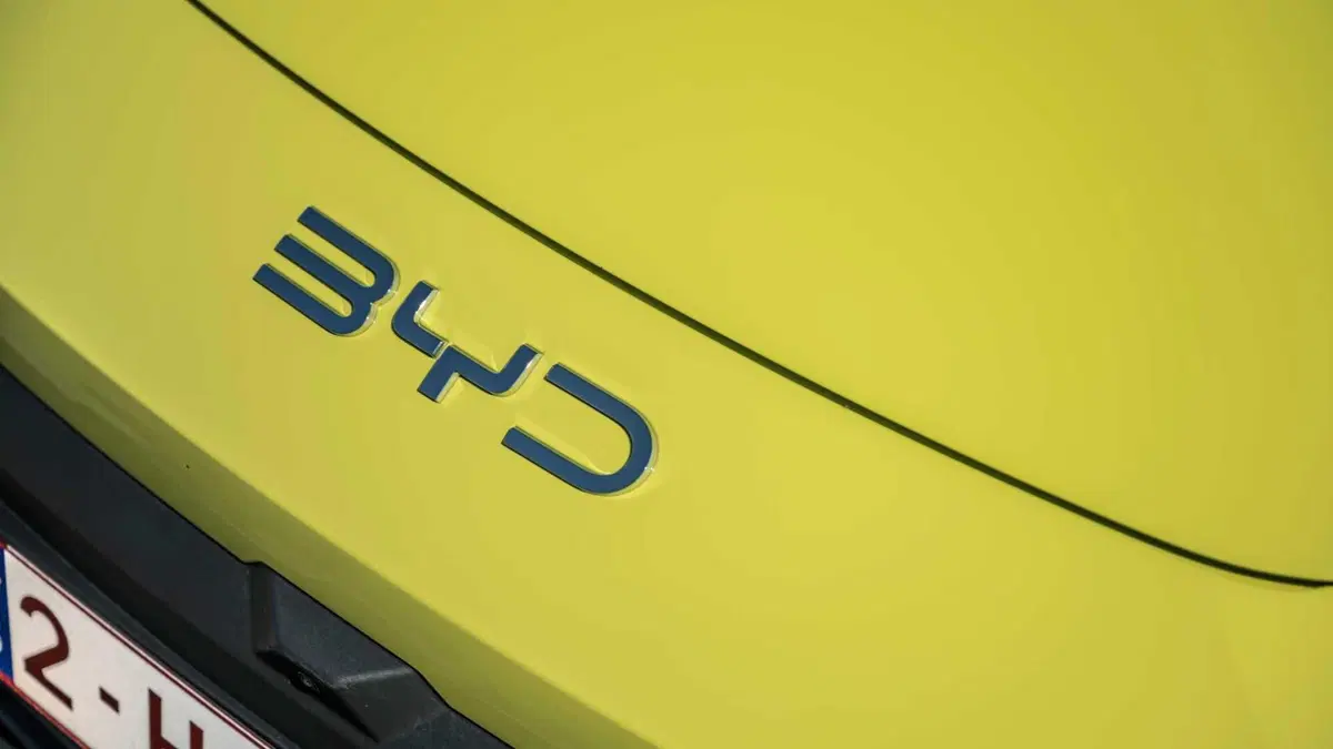 Byd Dolphin Surf (21)