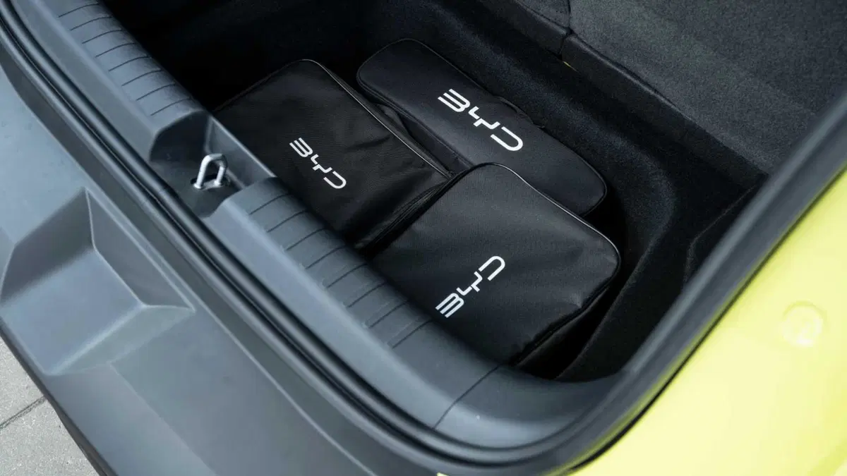 Byd Dolphin Surf (27)