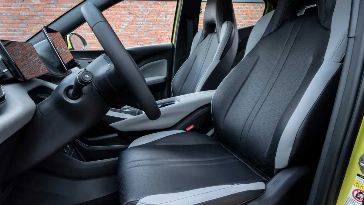 Byd Dolphin Surf (13)