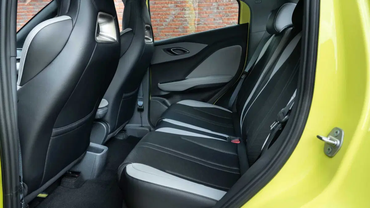 Byd Dolphin Surf (14)