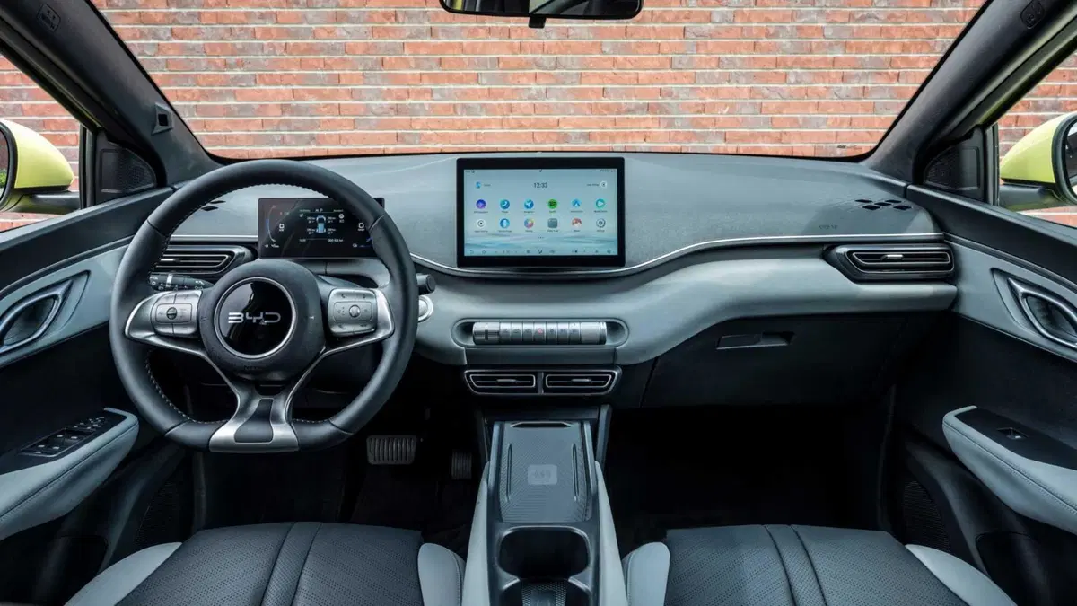 Byd Dolphin Surf (12)