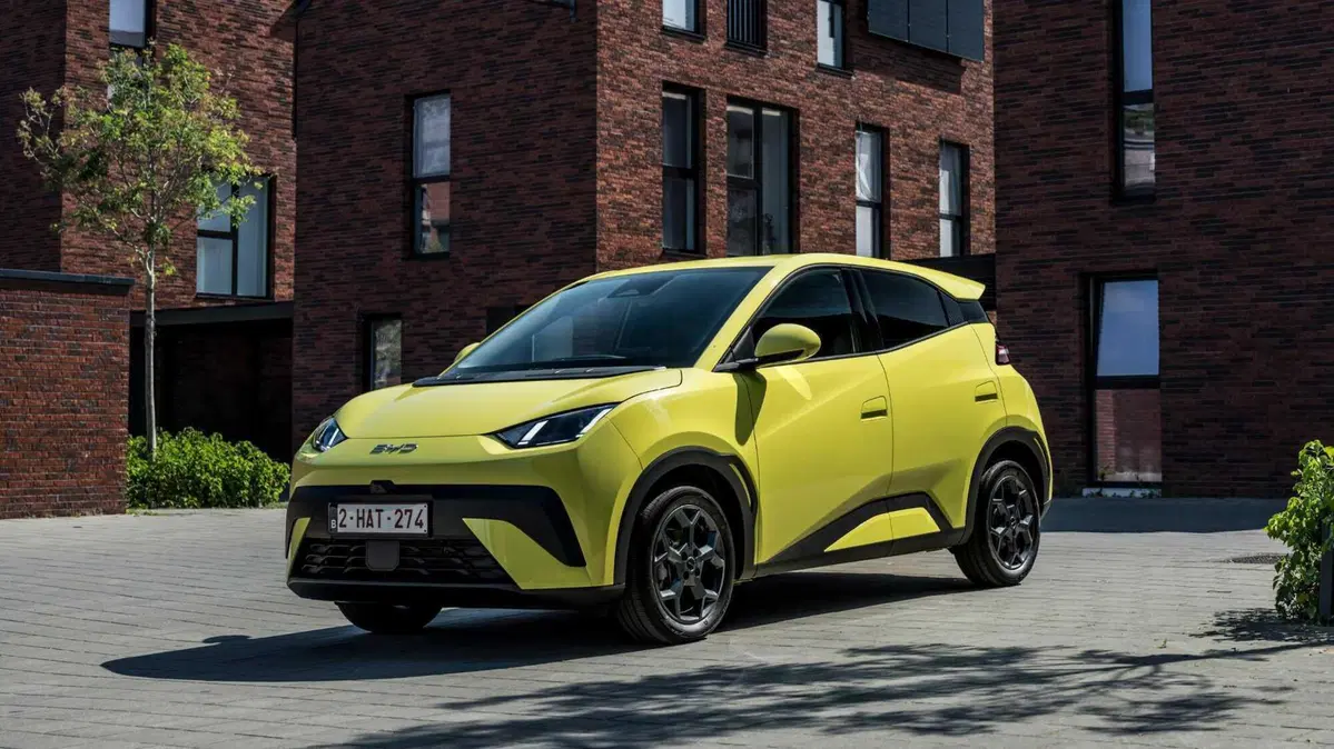 Byd Dolphin Surf (3)
