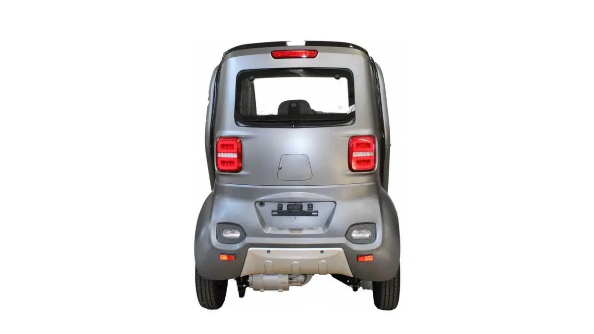 LEM MOTOR LEM Q7 (4)