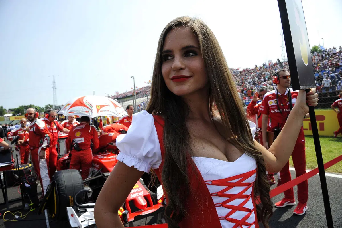 F1, Gp Ungheria 2016: vince Hamilton, nuovo leader del mondiale (14)