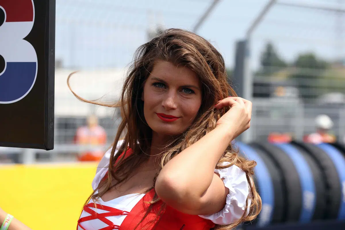 F1, Gp Ungheria 2016: vince Hamilton, nuovo leader del mondiale (15)
