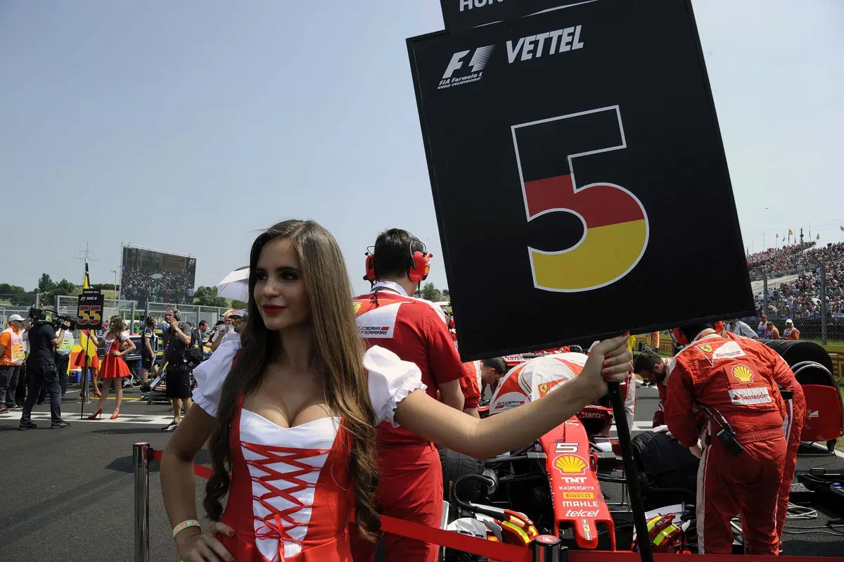 F1, Gp Ungheria 2016: vince Hamilton, nuovo leader del mondiale (41)