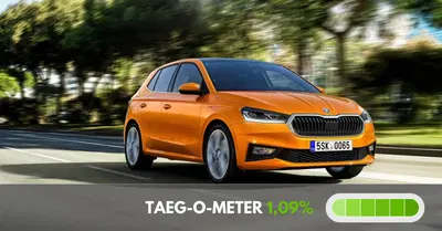 L'offerta Skoda su Fabia e Kamiq &egrave; anticipo e TAN zero