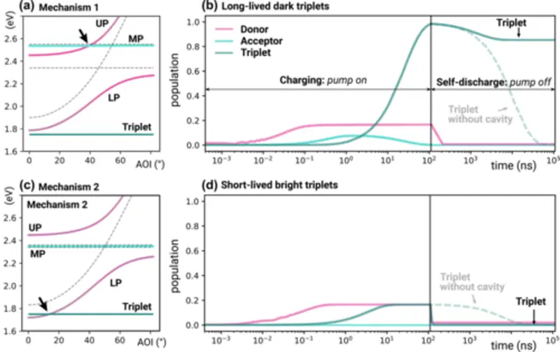 Nell'immagine vengono mostrati i cosiddetti polaritoni (stati ibridi di luce e materia) descritti da un particolare modello quantistico, insieme agli stati eccitati (tripletto) della molecola che riceve l&rsquo;energia.  I colori indicano quanto ogni stato contribuisce all&rsquo;energia immagazzinata, e il cosiddetto "polaritone centrale" (MP) &egrave; quello pi&ugrave; influenzato dallo stato eccitato singoletto della molecola ricevente.  (a) Tripletto &ldquo;oscuro&rdquo;: Quando l&rsquo;energia del singoletto della molecola ricevente coincide con quella di un polaritone &ldquo;luminoso&rdquo; (cio&egrave; facilmente eccitabile dalla luce), si pu&ograve; creare un tripletto che per&ograve; non interagisce pi&ugrave; con la luce. Questi triplette sono detti "oscuri", non perdono energia facilmente e quindi durano a lungo: perfetti per accumulare energia.  (b) Tripletto &ldquo;luminoso&rdquo;: In altri casi, il tripletto si forma direttamente interagendo con un polaritone luminoso. Qui per&ograve; lo stato rimane parzialmente &ldquo;visibile&rdquo; alla luce, e quindi tende a perdere energia rapidamente, riducendo la capacit&agrave; di accumulo.  (c) Meccanismo 1: Qui il tripletto che si forma non riesce a scaricarsi completamente, quindi una buona parte dell&rsquo;energia rimane immagazzinata anche a lungo. Questo rende il sistema molto efficace per l&rsquo;accumulo energetico.  (d) Meccanismo 2: In questo caso, invece, il tripletto &ldquo;luminoso&rdquo; si scarica subito, come i polaritoni stessi, e quindi non riesce a trattenere l&rsquo;energia: l&rsquo;accumulo &egrave; scarso.