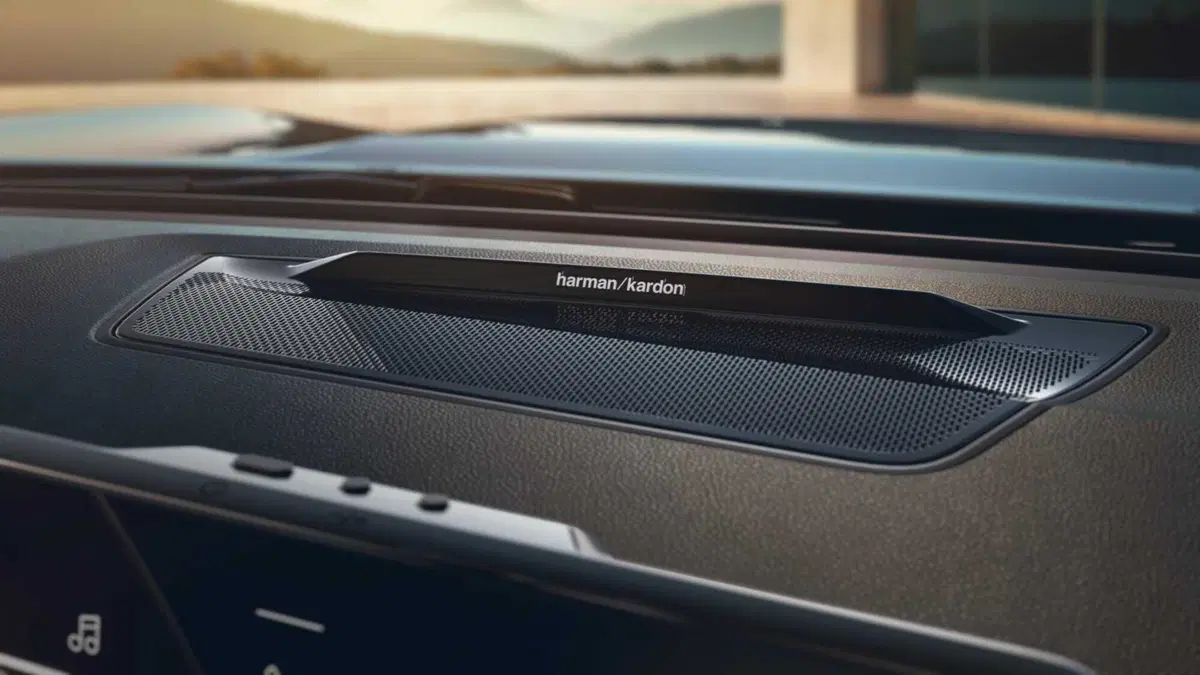 Arriva (l'ennesimo) Suv di Renault: si chiama Boreal ed è pensato per i mercato emergenti  (26)