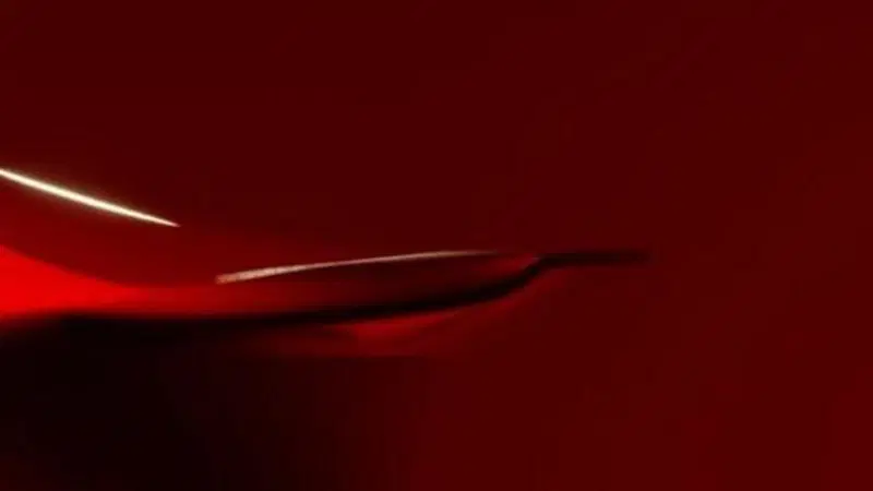 Tesla, misterioso teaser con data 29 agosto: Model Y Performance o Tesla low cost?