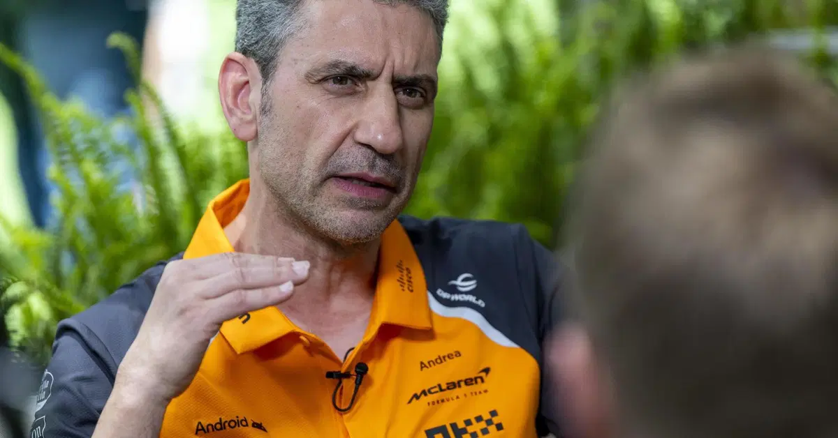 F1. McLaren, Stella commenta il GP d'Olanda: "Non sappiamo ancora il motivo del ritiro di Norris. Ci dispiace abbia influenzato la lotta con Piastri"