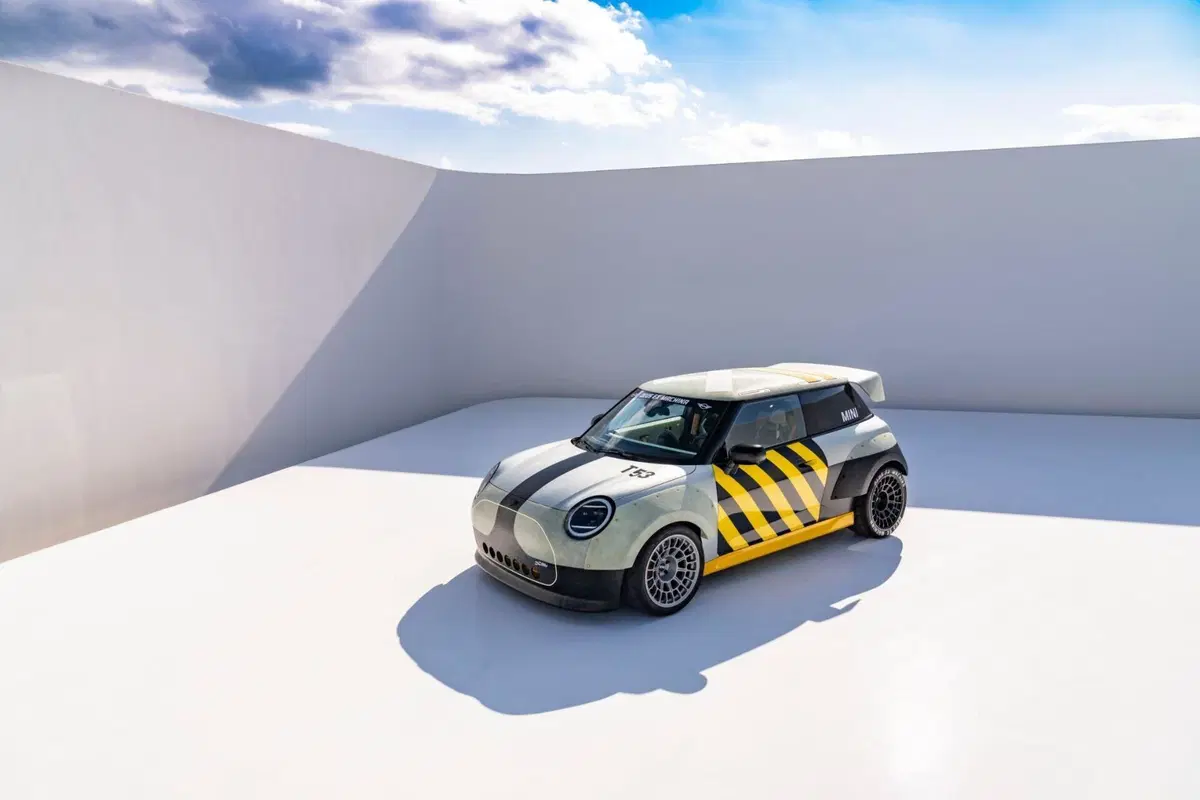 Mini "The Sheg" (3)