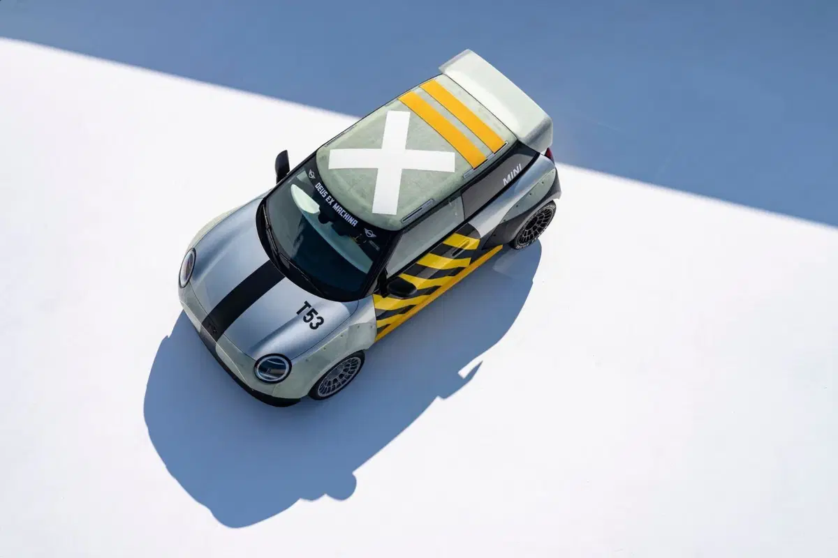 Mini "The Sheg" (6)