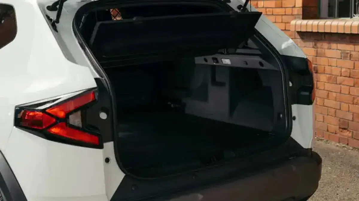 Dacia Duster van