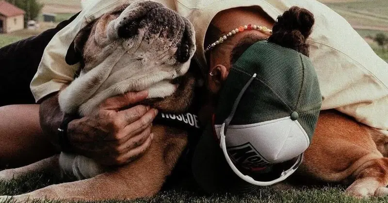 Roscoe non ce l'ha fatta, Hamilton d&agrave; il triste annuncio: "La decisione pi&ugrave; dura della mia vita"