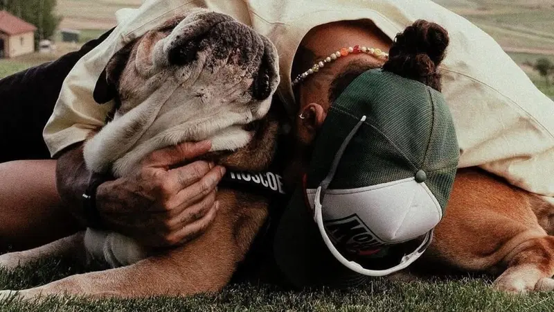 Roscoe non ce l'ha fatta, Hamilton d&agrave; il triste annuncio: "La decisione pi&ugrave; dura della mia vita"
