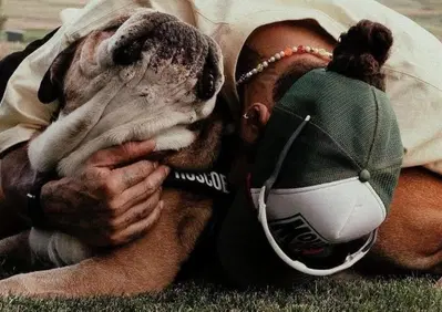 Roscoe non ce l'ha fatta, Hamilton dà il triste annuncio: La decisione più dura della mia vita