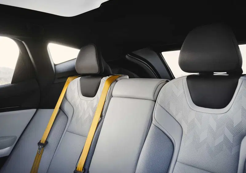 Polestar Polestar 3 (2022-->>) (14)