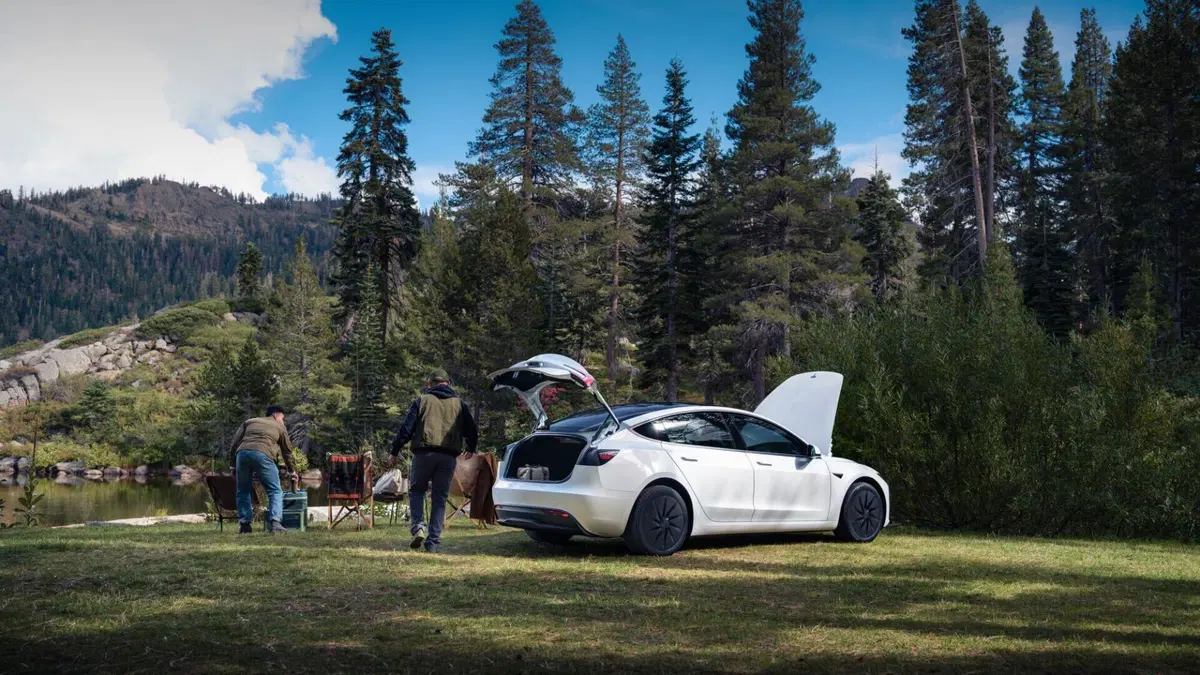 Tesla Model Y e Model 3 Standard: debuttano ufficialmente le versioni più accessibili del SUV e della berlina elettrica (3)