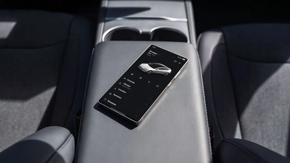 Tesla Model Y e Model 3 Standard: debuttano ufficialmente le versioni più accessibili del SUV e della berlina elettrica (11)
