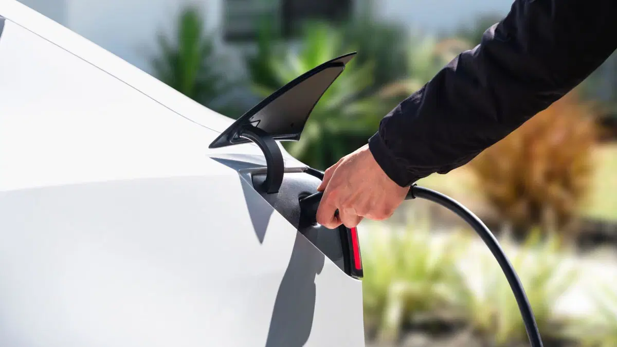 Tesla Model Y e Model 3 Standard: debuttano ufficialmente le versioni più accessibili del SUV e della berlina elettrica (17)
