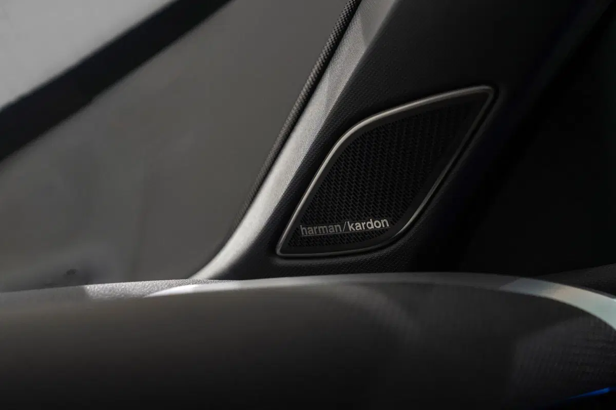 Immagini di nuova Volkswagen T-Roc R-Line (22)