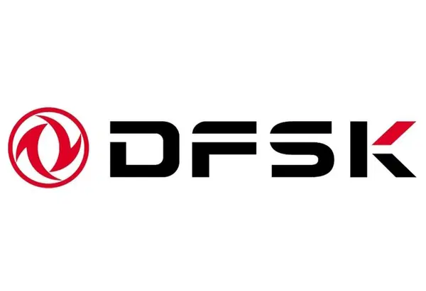 Dfsk
