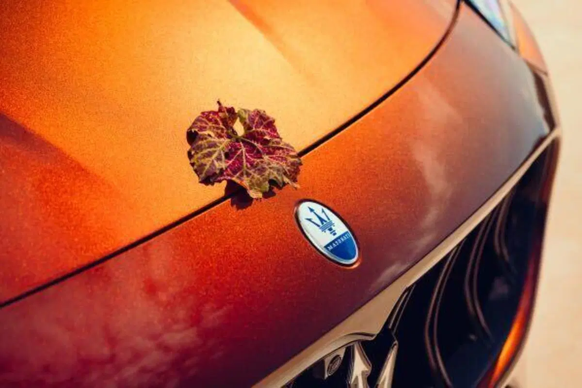 Maserati Grecale Tributo Il Bruciato: un omaggio tra vino e motori tutto all’italiana (6)
