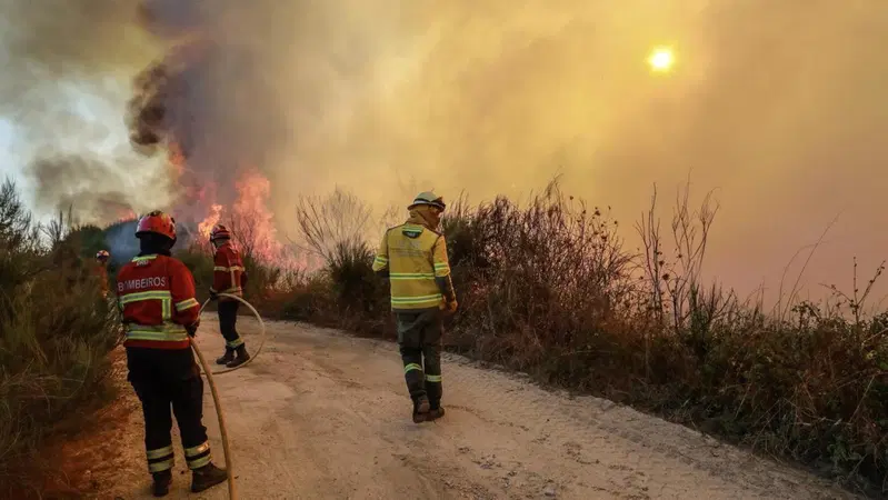Incendi in Portogallo