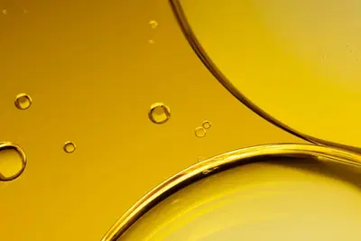 BMW scopre che il Diesel non deve morire: basta dargli da mangiare olio vegetale