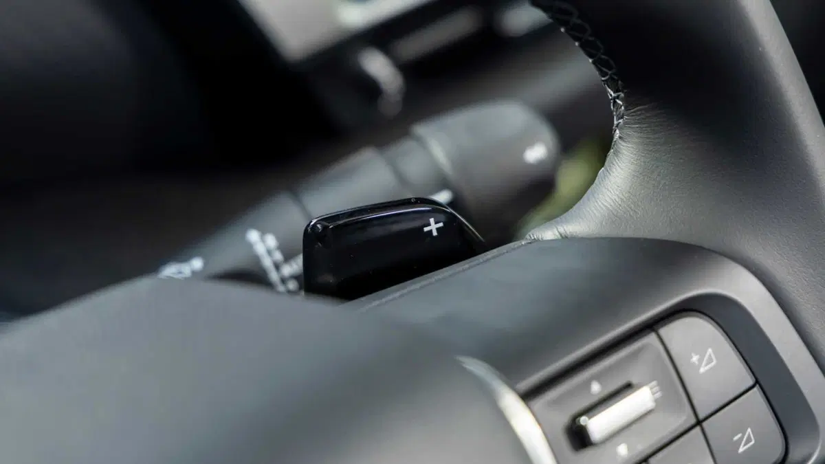 Citroen C4 1.2 puretech You s&s 100cv (13)