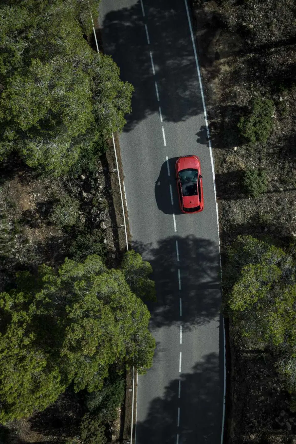 Nuove SEAT Ibiza e Arona 2026: stesso spirito giovane, ma più mature che mai  (28)