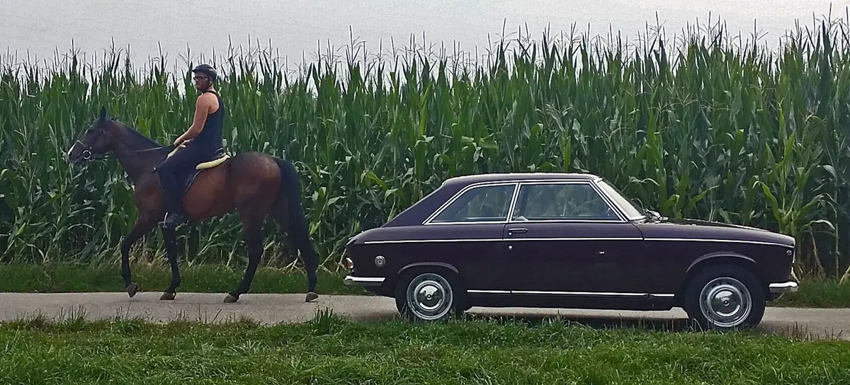 Peugeot 204 Coupé, “l'anti-Fulvia” à la française [video] (3)