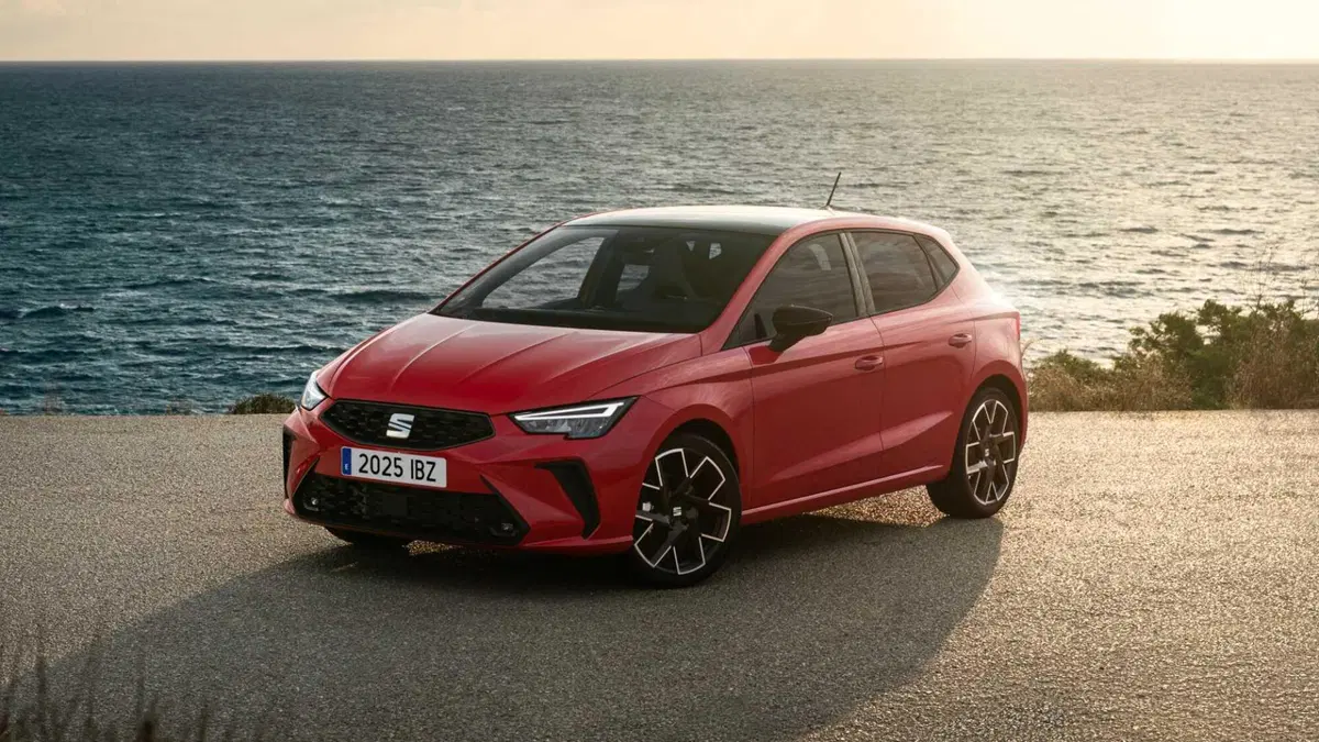 SEAT Ibiza 1.6 TDI 95 CV 5 porte Business (6)