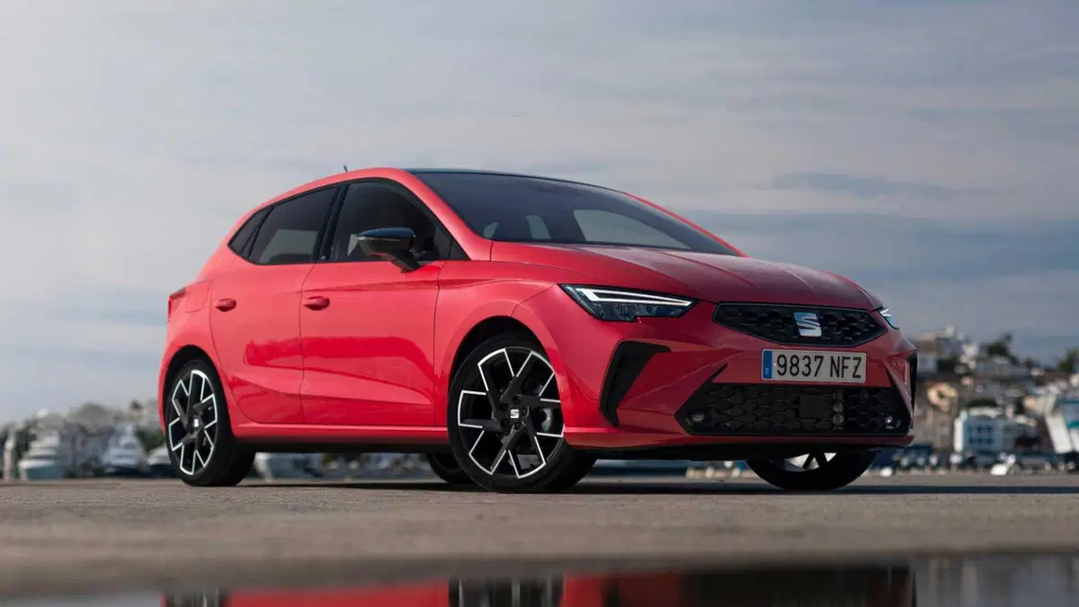 SEAT Ibiza 1.6 TDI 95 CV 5 porte Business (2)