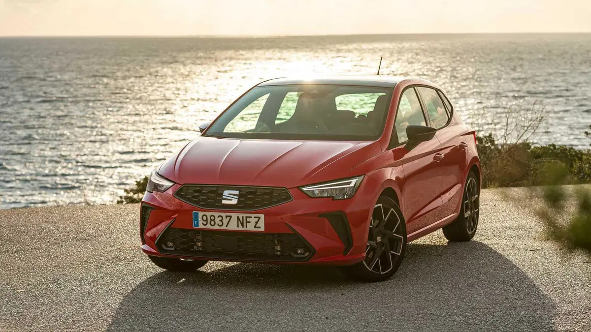 SEAT Ibiza 1.6 TDI 95 CV 5 porte Business (5)