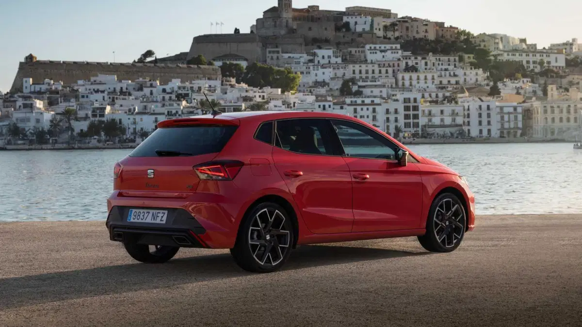 SEAT Ibiza 1.6 TDI 95 CV 5 porte Business (8)