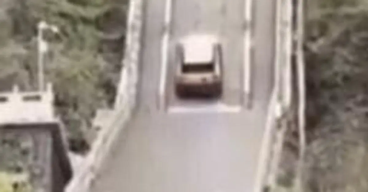 L&rsquo;impresa spettacolare che si &egrave; trasformata in un boomerang: il SUV elettrico cinese e la scalata finita male [VIDEO]