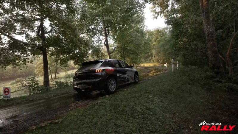 Assetto Corsa Rally: l&rsquo;ultima frontiera del realismo arriva anche sulle prove speciali.