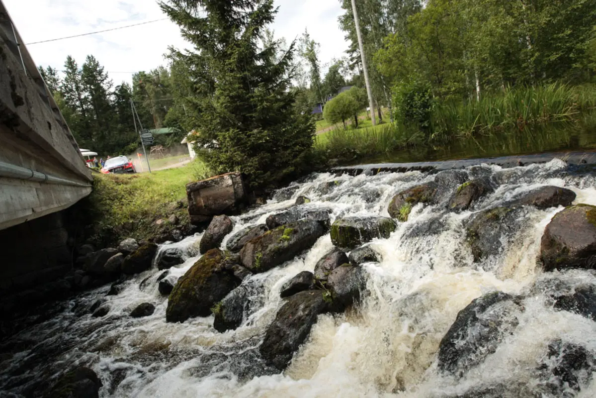 WRC16 Finlandia. vittoria per Meeke (Citroen)  (58)