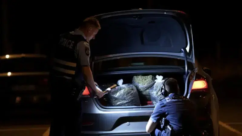 Filmato a 230 km/h con 120 kg di cannabis: multato un automobilista da 238.000 euro