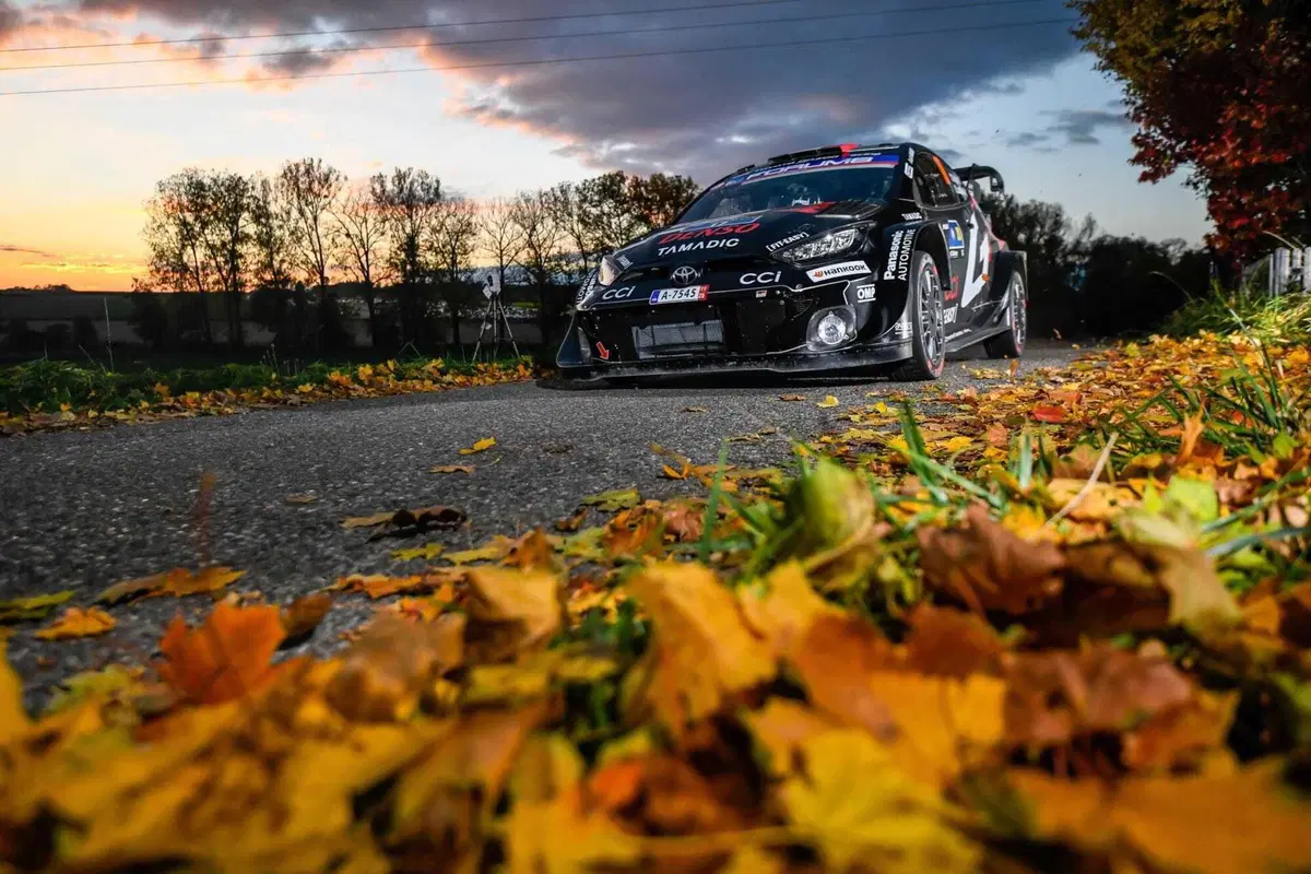 Mondiale WRC 2026. Nel bene e nel male sarà stagione cruciale. Allora, vogliamo essere seri? [VIDEO] (9)