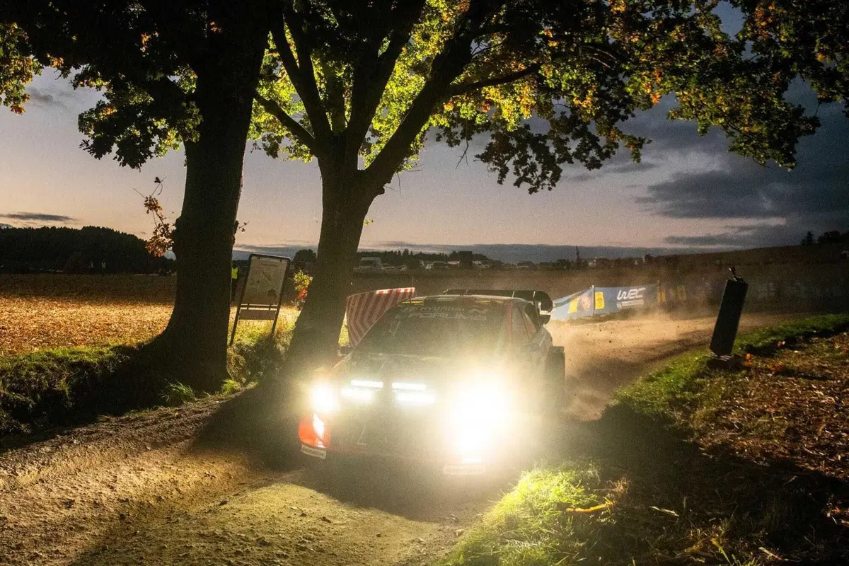 Mondiale WRC 2026. Nel bene e nel male sarà stagione cruciale. Allora, vogliamo essere seri? [VIDEO] (14)
